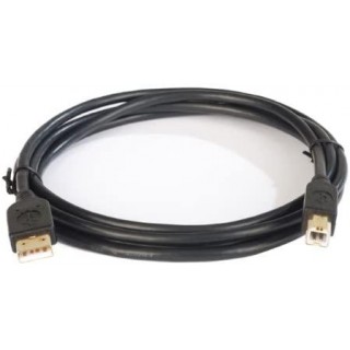 10-Foot USB 2.0 A to B Cable (Black)