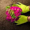 NEEWER Gardening Gloves  Safety Protective Garden Work Latex Coated Ladies Men